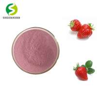 Freeze dried strawberry topping juice concentrate extract puree frozen powder in bulk for cake canned